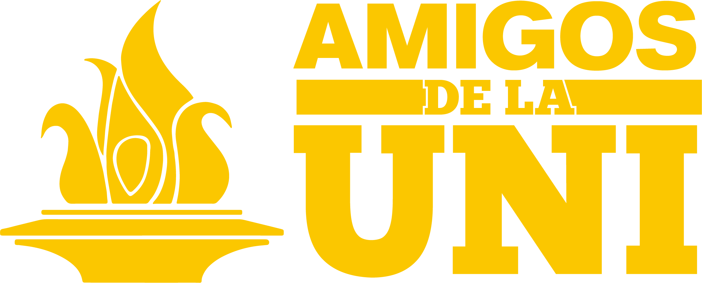 Amigos de la UNI